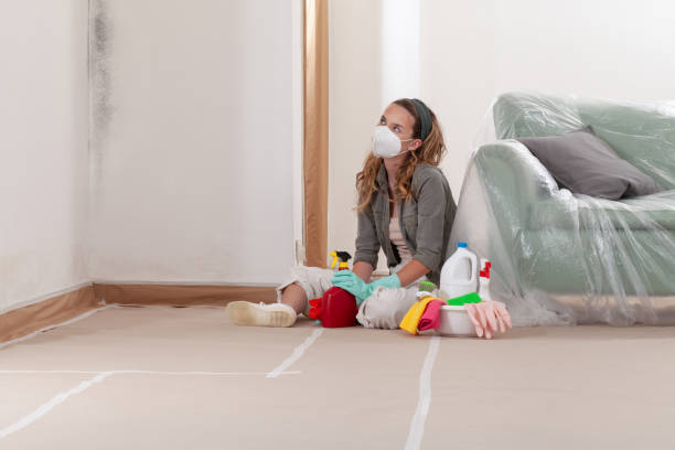 Reliable Mold Testing contractor in Linthicum Heights, MD by WQB Mold Removal