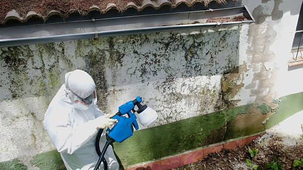 Top rated local Mold Testing specialists in Linthicum Heights, MD
